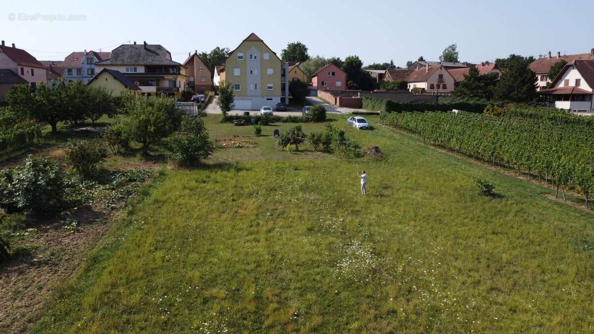 Terrain à DAHLENHEIM