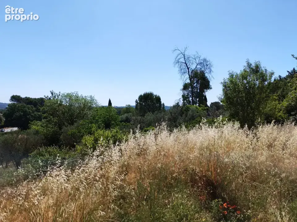 Photo Terrain à Lorgues au prix de 128 000€