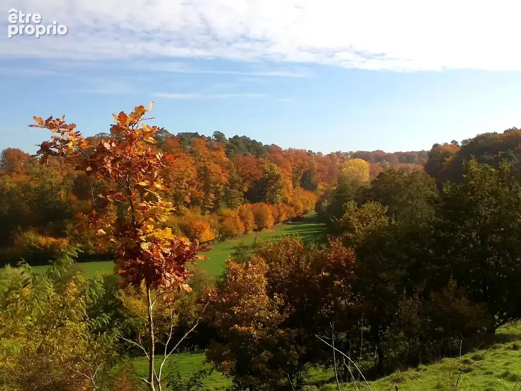 À vendre : Charmante villa avec magnifique vue dans les Vosges - photo 40