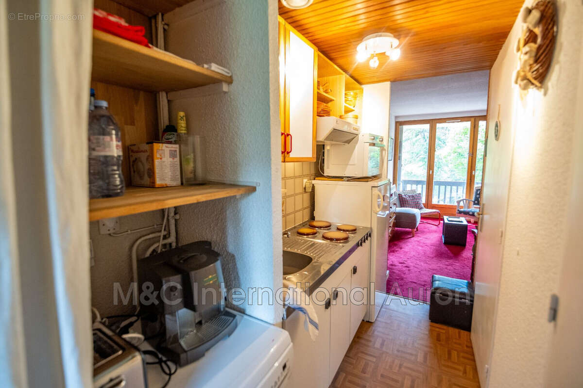 Appartement 25 m² à Saint-Etienne-De-Tinee  - photo 3