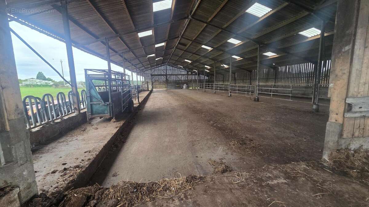 Photo 8 - Terrain à BAUGE