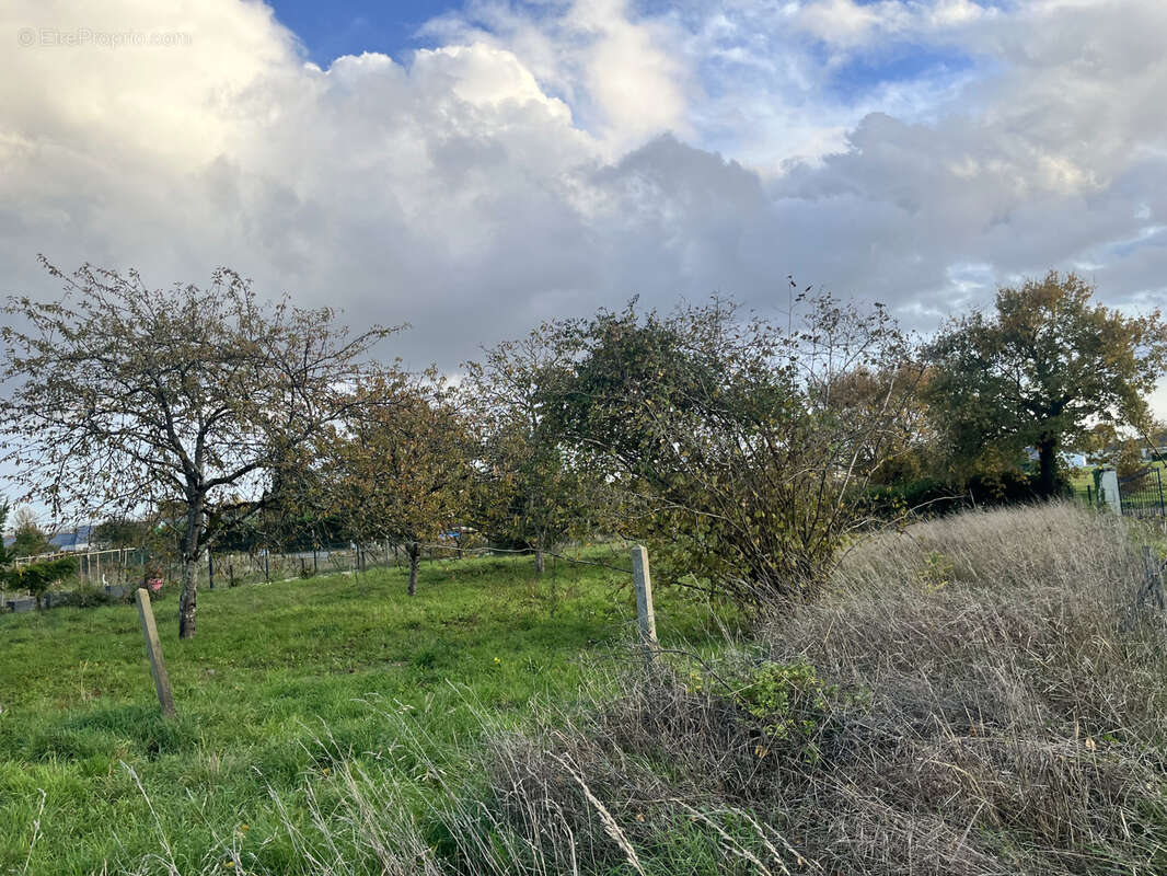 Terrain à BRAIN-SUR-L&#039;AUTHION