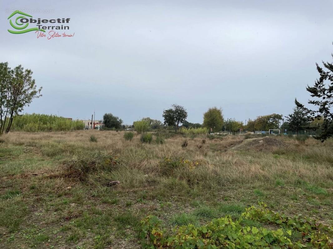 Terrain à CAZOULS-LES-BEZIERS