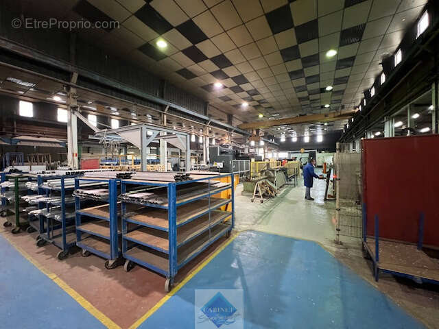 LOCAUX PRO de 5000m2 sur parcelle de 9000m2 - photo 12