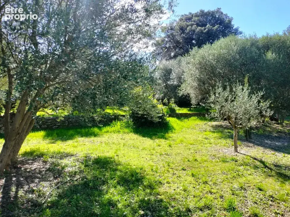Terrain 1000 m² à Draguignan  - photo 7