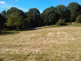 Terrain à SAINT-POMPONT