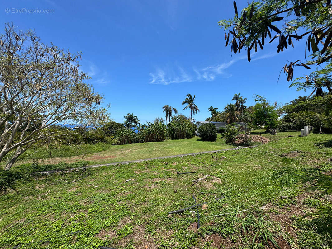 Terrain à SAINT-DENIS