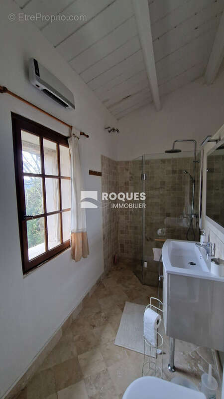 Sud Lodève, propriété en pierre193 m2 habitables plus dépendances, le tout sur 58 ha - photo 9