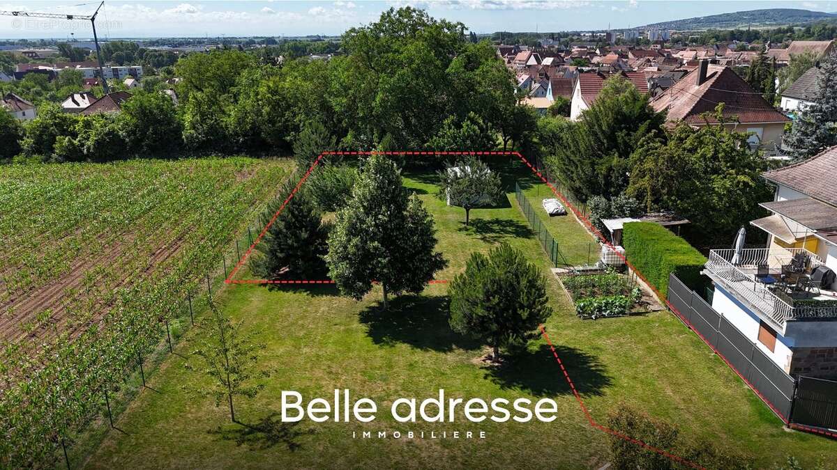 Terrain à MOLSHEIM