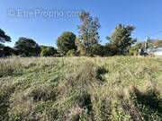 Terrain à LA CLISSE