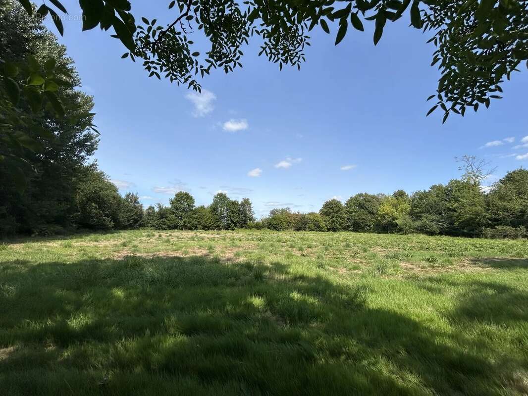 Maison de maitre rénovée avec étang et bois - photo 7