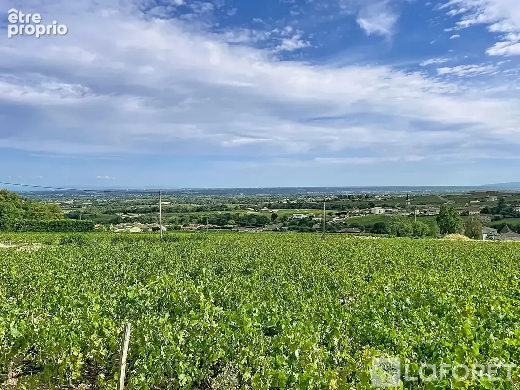 Bâtisse de charme sur Chénas - photo 2