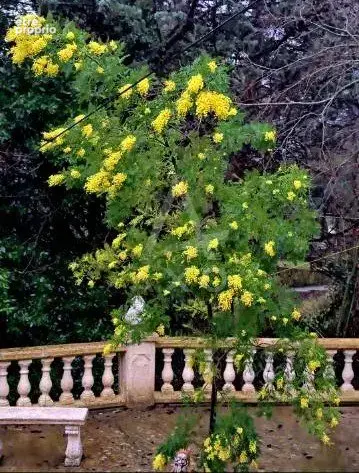 Maison familiale au coeur de la nature - photo 5