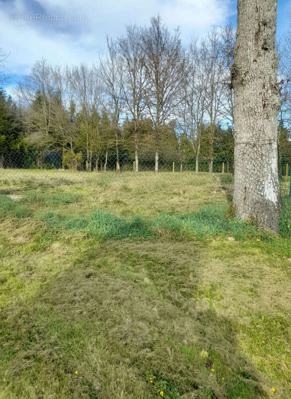 Terrain à CARENTOIR