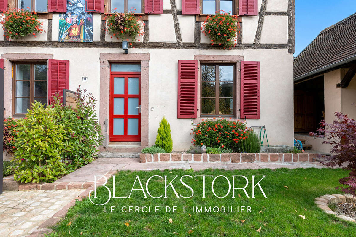 Maison à RIBEAUVILLE