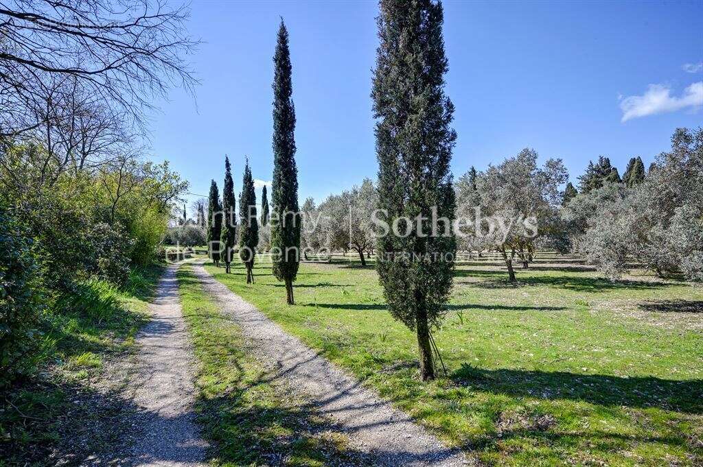 Maison à SAINT-REMY-DE-PROVENCE