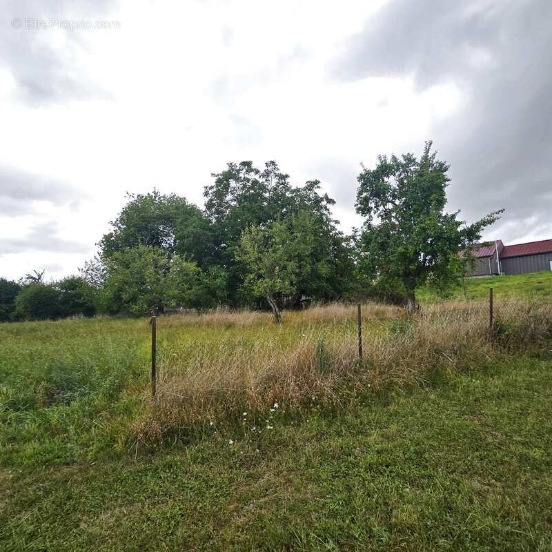 Maison à CONSENVOYE