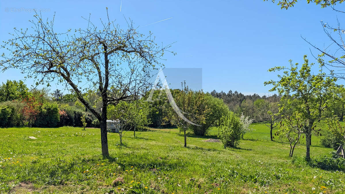 Maison en pierre avec un petit gite indépendant en campagne - photo 17
