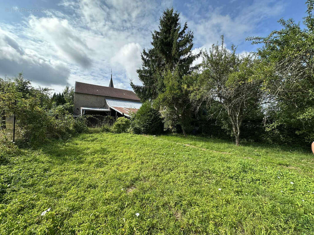 Maison à NEUVILLER-LES-BADONVILLER