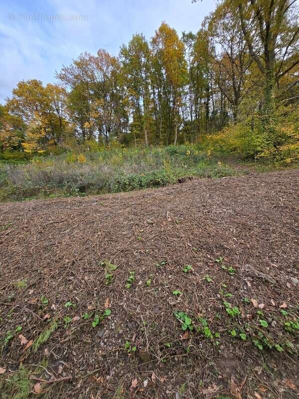 Terrain à NIEDERHASLACH