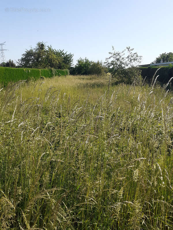 Terrain à LA VILLENEUVE-EN-CHEVRIE