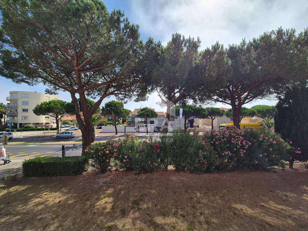 Appartement 2 pièces à vendre à Saint Cyprien - Le Port - photo 7