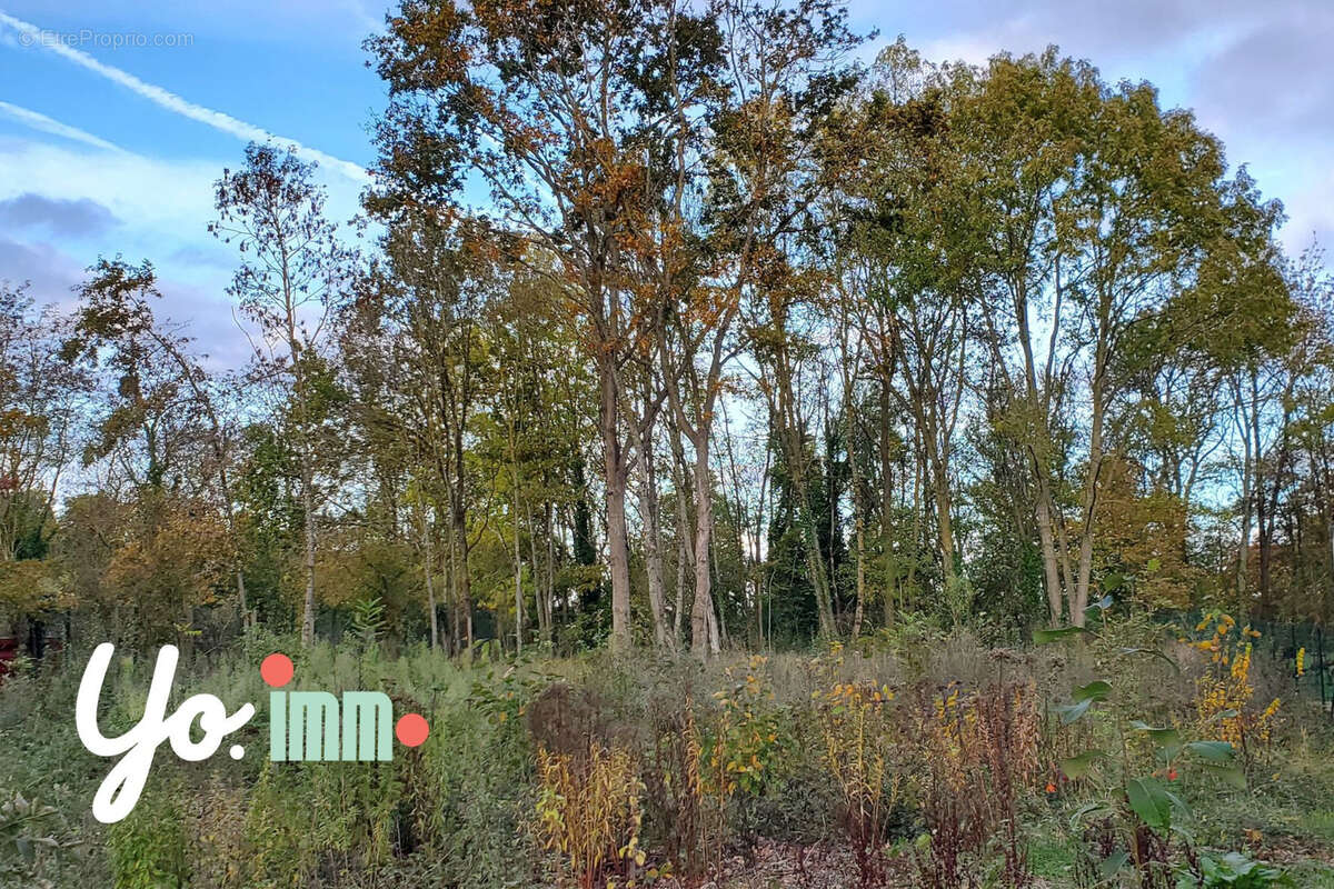 Terrain à BOIS-D'ARCY