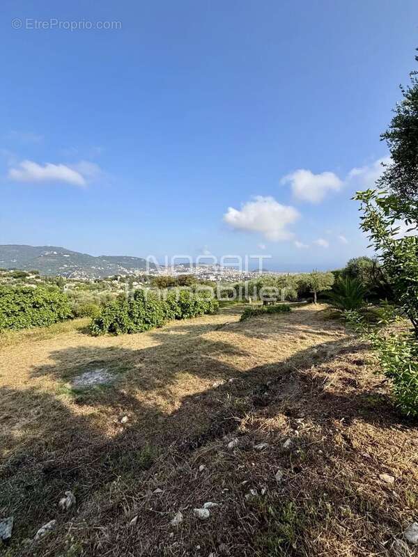Terrain à NICE