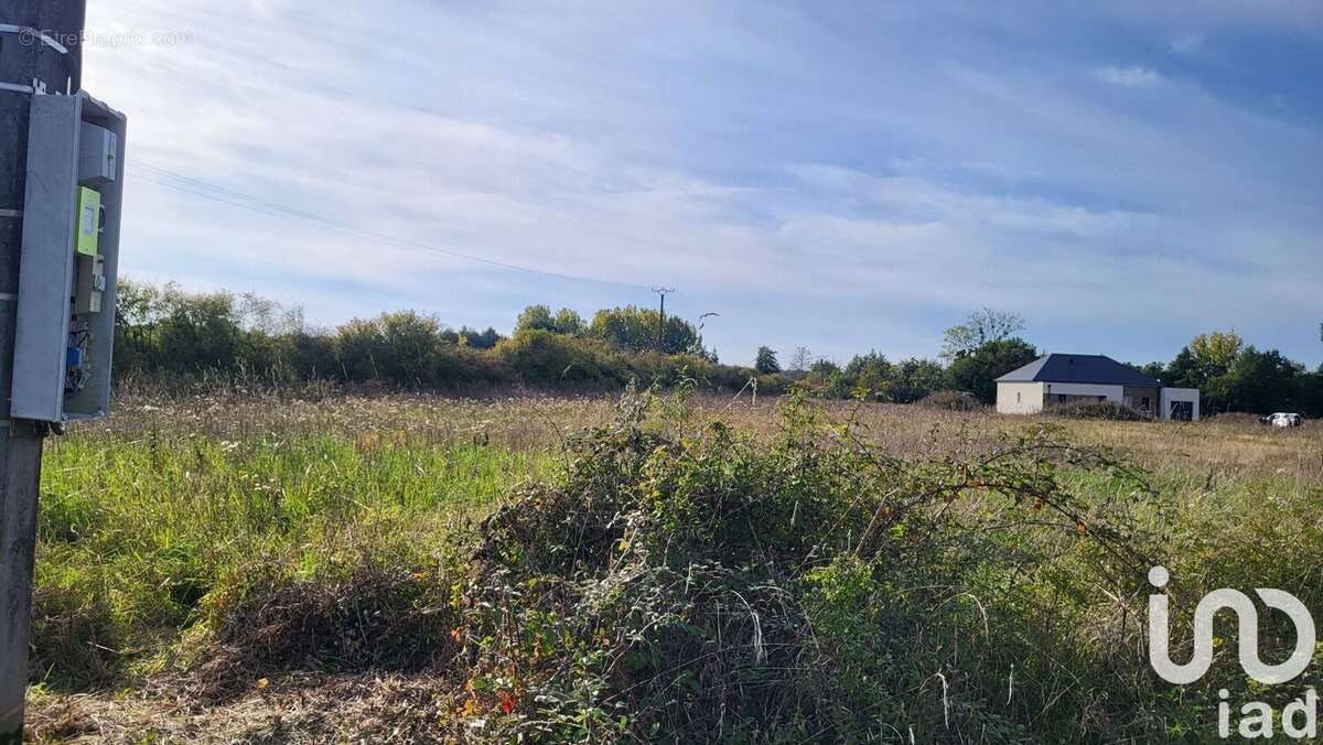 Photo 4 - Terrain à LA COUR-MARIGNY