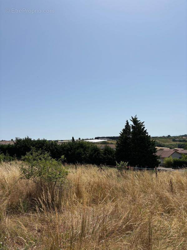 Terrain à LES HAIES