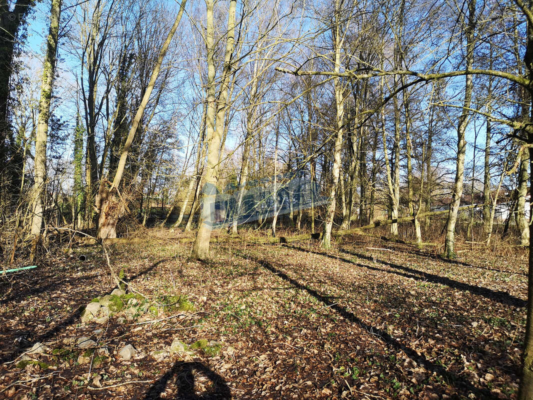 Terrain de loisirs et de détente,  Aubigny-en-Artois - photo 4