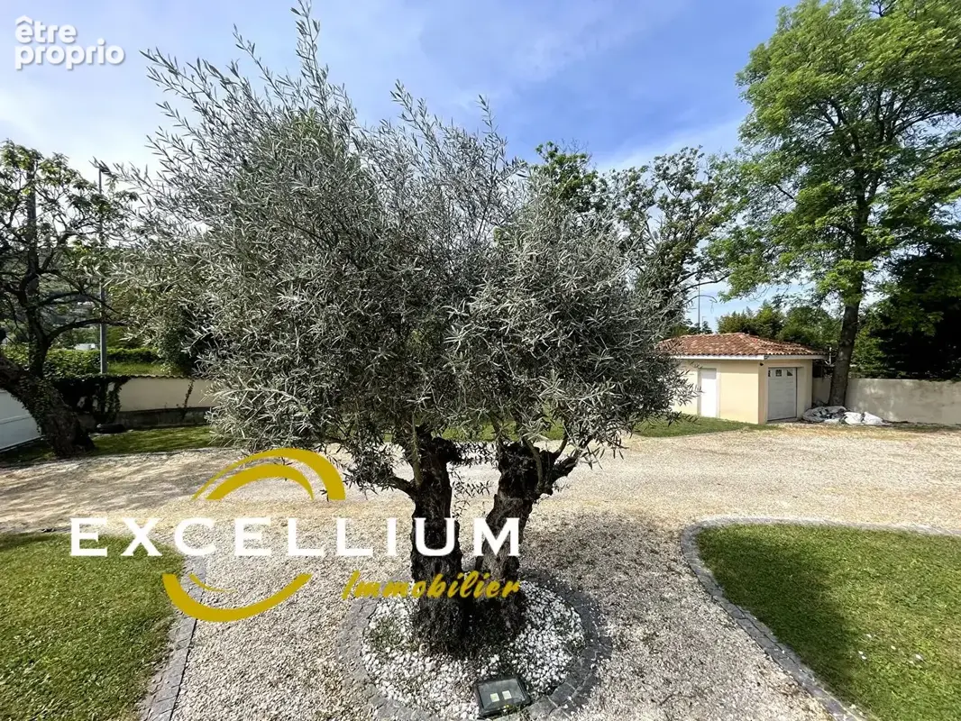 Maison Rochetaillée Sur Saone 200 m2 sur 1200m2 de terrain - photo 2