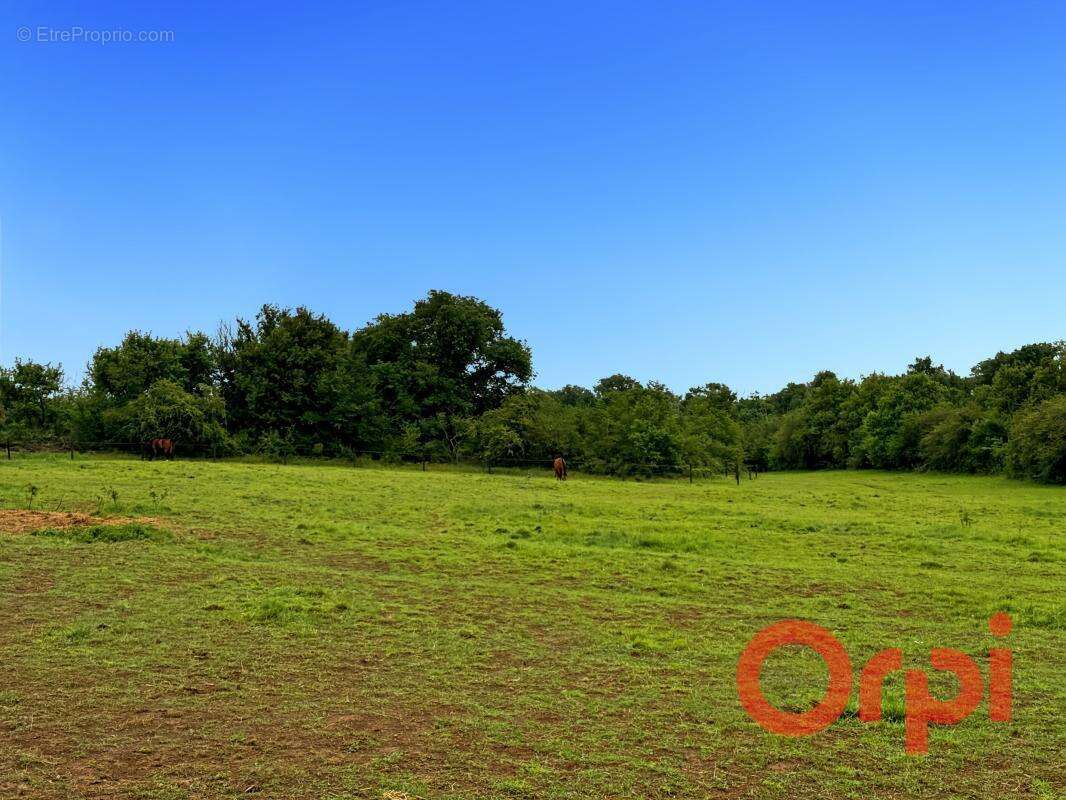 Maison et maison d’amis sur plus de 12 hectares avec étang et cours d’eau – cadre naturel exceptionnel et calme absolu - photo 18