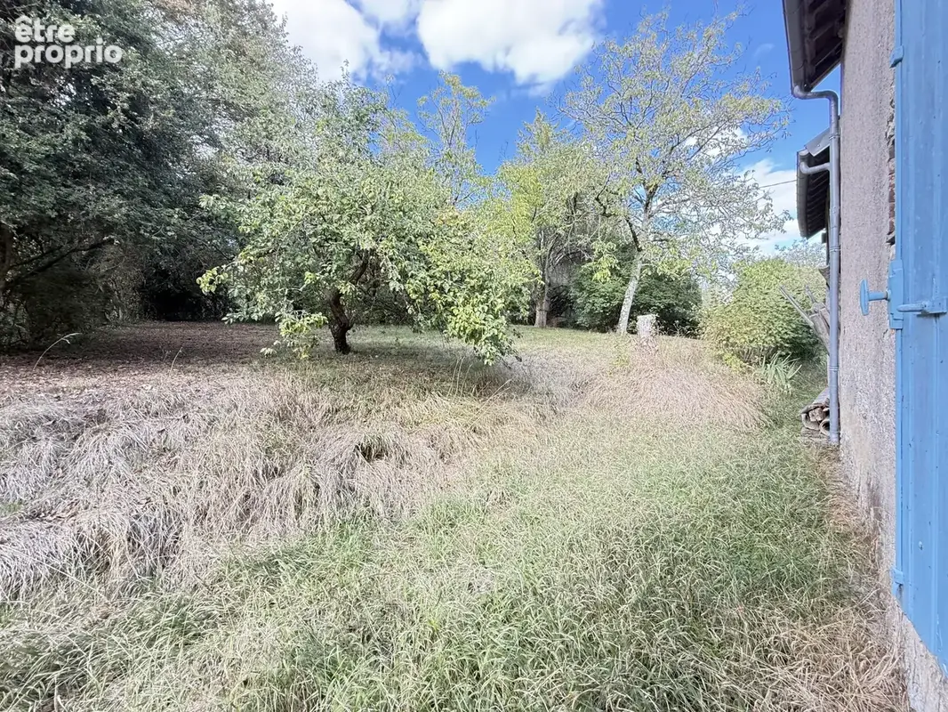Feux - longere - terrain 8400 m2 - photo 14