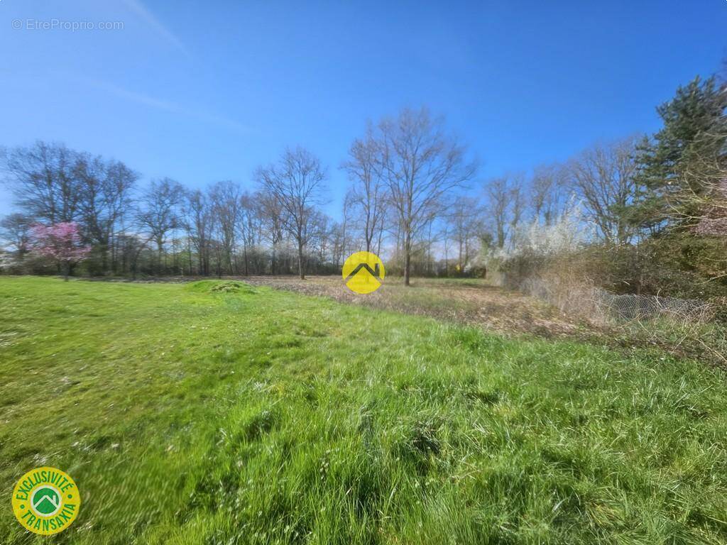 Terrain à LA GUERCHE-SUR-L'AUBOIS