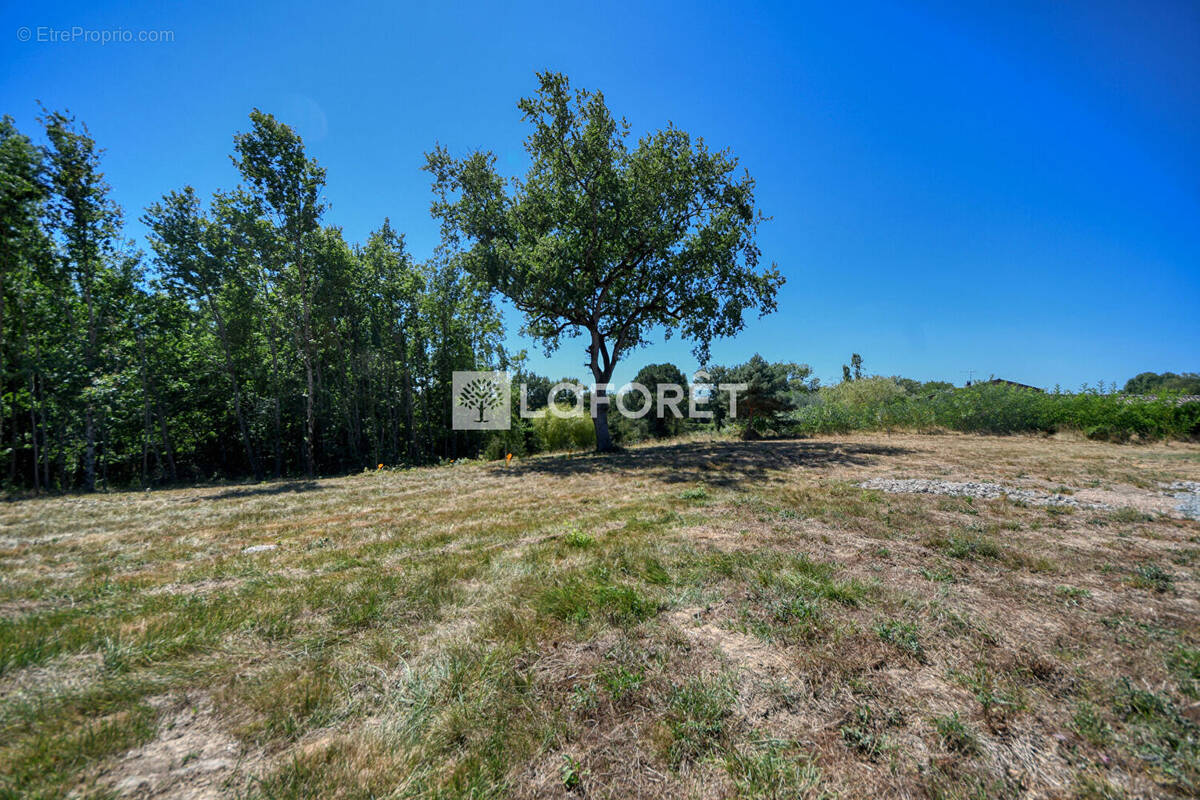 Terrain à LISLE-SUR-TARN