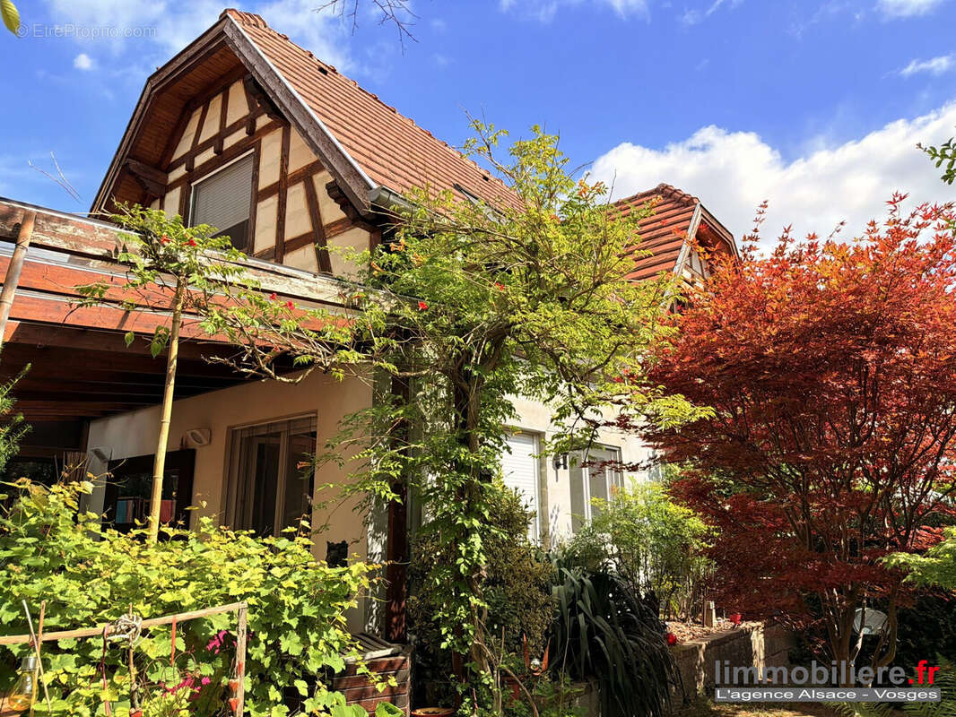 Maison à ITTENHEIM
