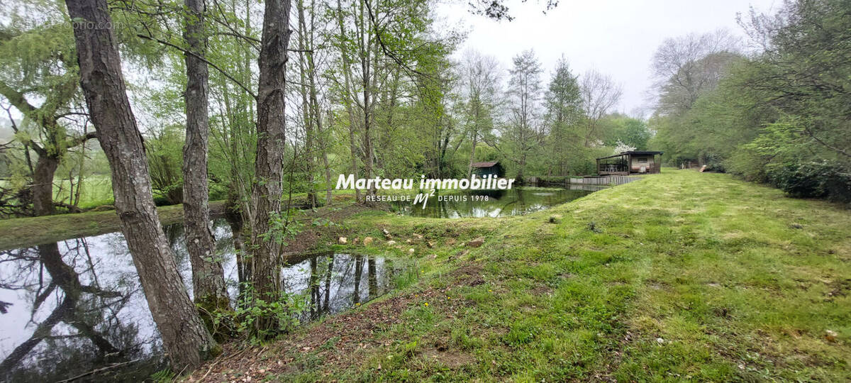 Terrain à SAINT-PIERRE-DU-LOROUER