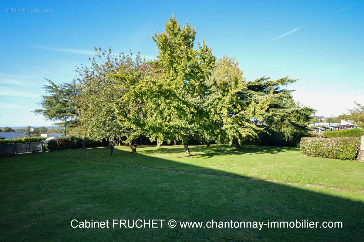 Maison à LA CHATAIGNERAIE