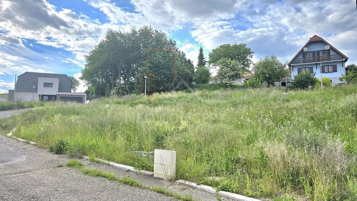 Exclusivité : terrain constructible et viabilisé - photo 2