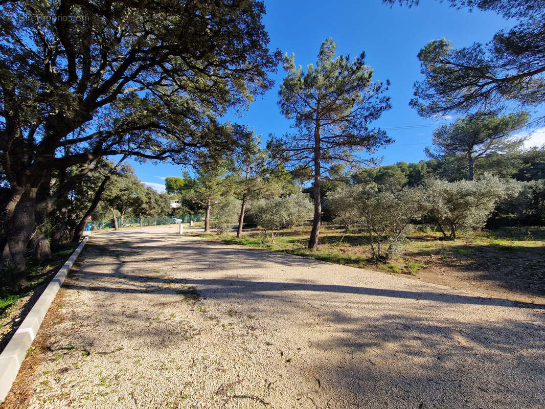 Terrain à CAVAILLON