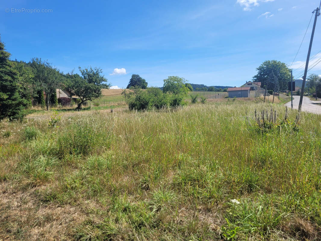 Terrain plat constructible - photo 4