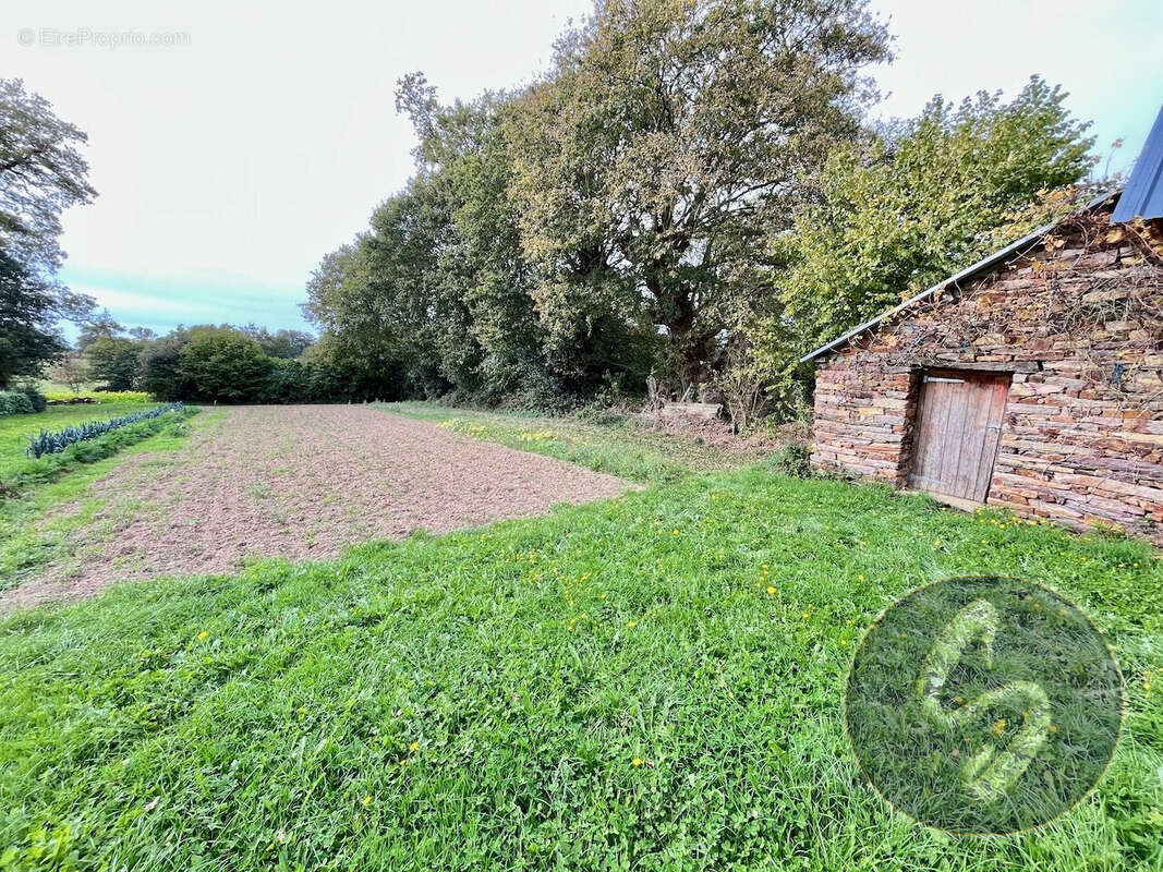 Maison à SAINT-NICOLAS-DU-TERTRE