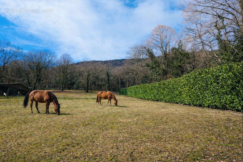 Maison à LE BOURGET-DU-LAC