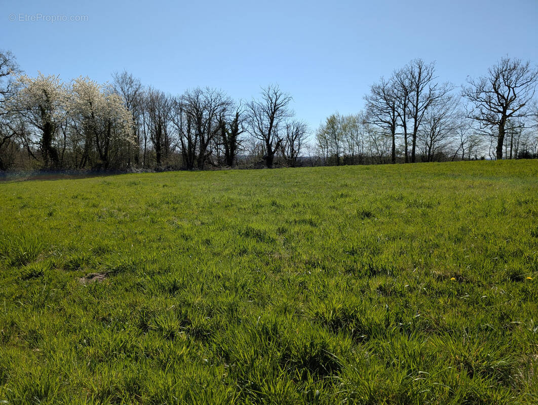 Terrain à LE LONZAC