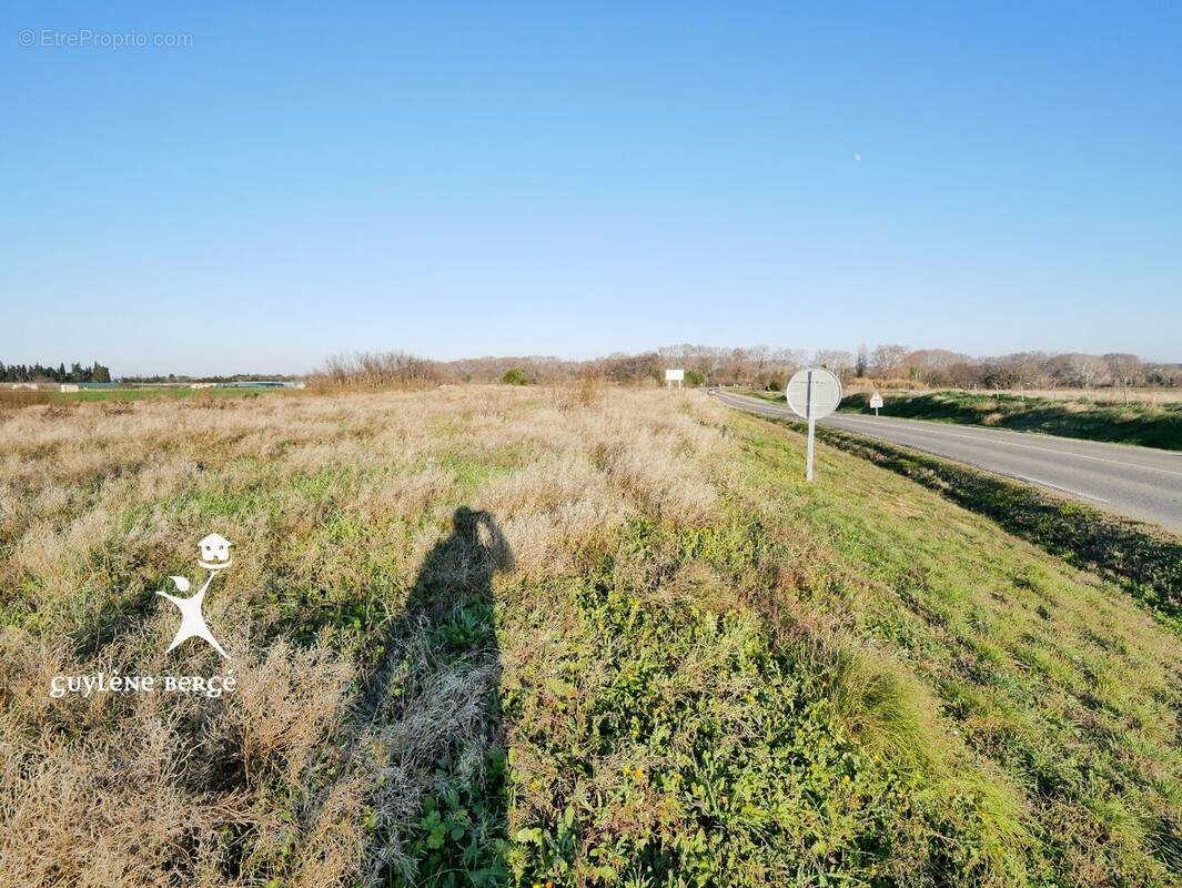 Terrain à LE CAILAR