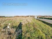 Terrain à LE CAILAR