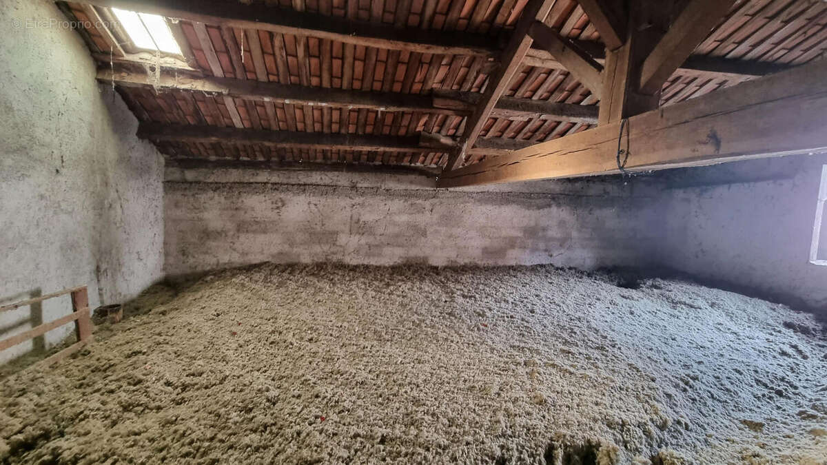 20250211_110516 - Commerce à NONTRON