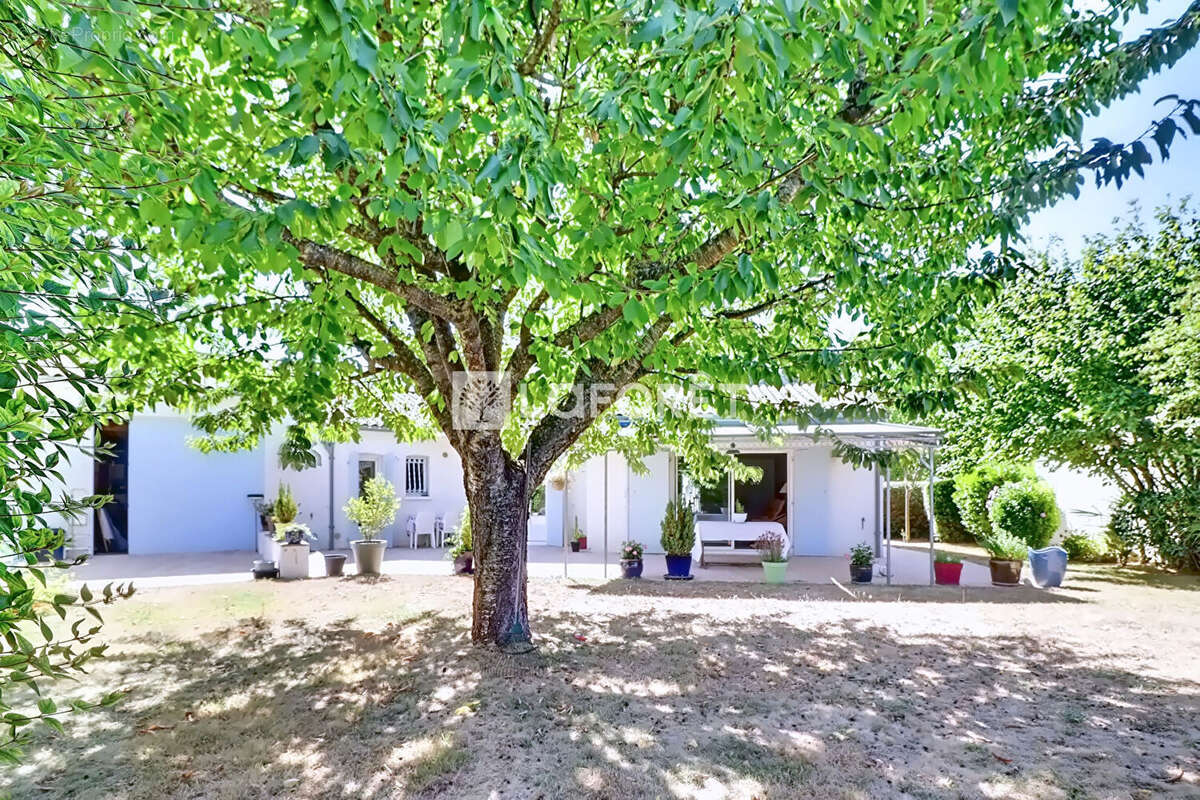Maison familiale 165 m² - 5 chambres - grand garage -j ardin arboré et piscine - Périgny - photo 3