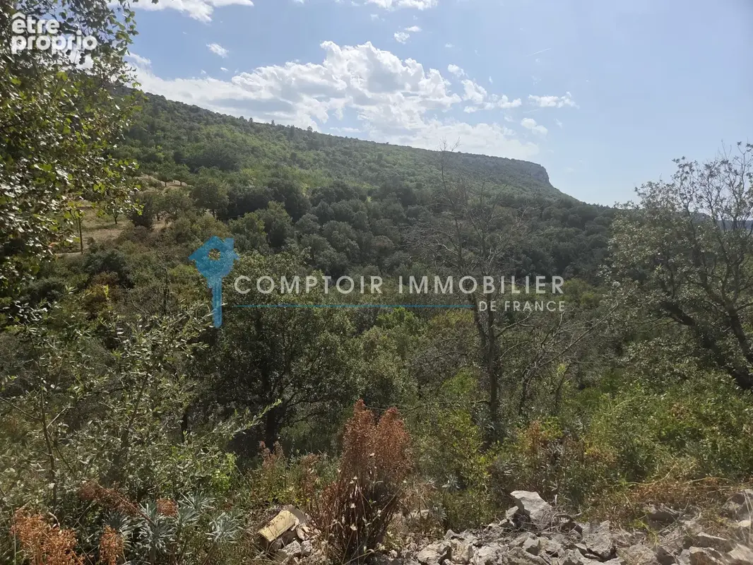 Terrain forestier vallonné - photo 4